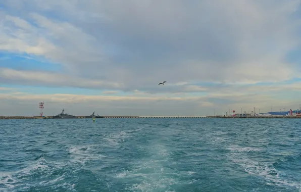 Sea, ships, Seagull, Sochi, Wake