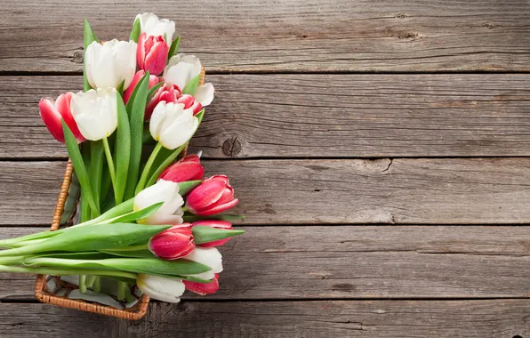Flowers, bouquet, tulips, red, white, wood, flowers, tulips