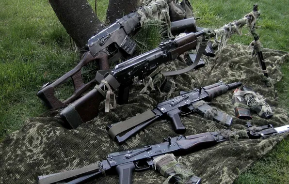 Weapons, Vintorez, AKS74U, special sniper rifle, Kalashnikov machine gun, 6П2, The PKK, 6П29
