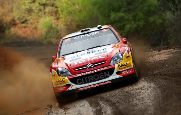 Picture Citroen, Citroen, Squirt, WRC, Rally, Rally, Xsara, Sordo