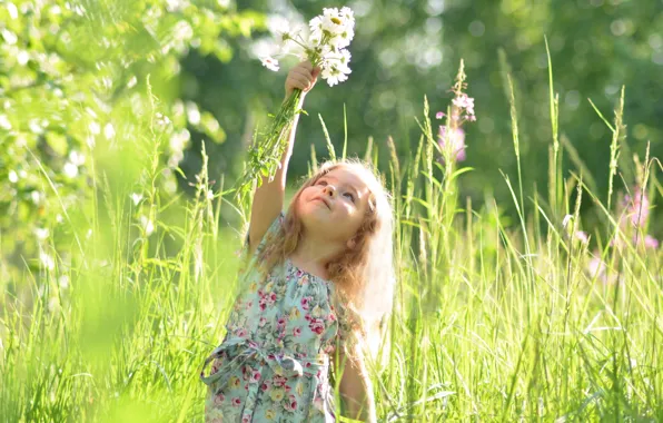 Wallpaper summer, elf, fairy, fluff, girl, dandelions, white dress, art ...