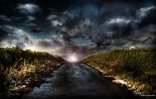 Picture road, the sky, grass, light