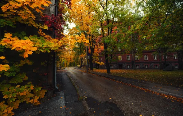 Autumn, Estonia, Tartu