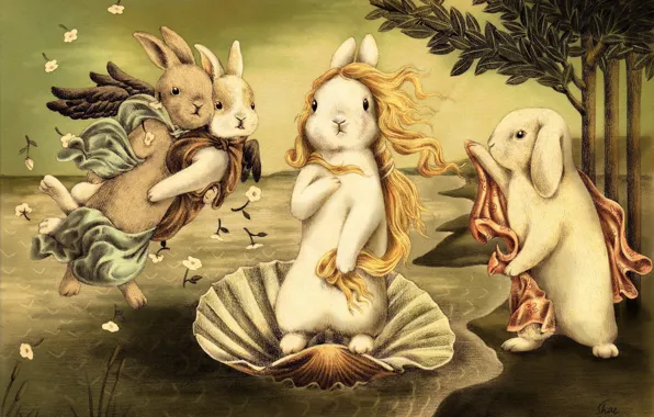 Forest, rabbit, art, shell, hare