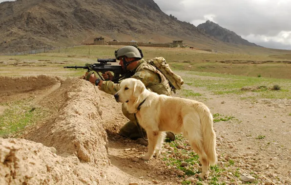 Picture each, dog, soldiers, steinhaug