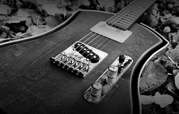 Style, guitar, black and white, strings, case, tool, music