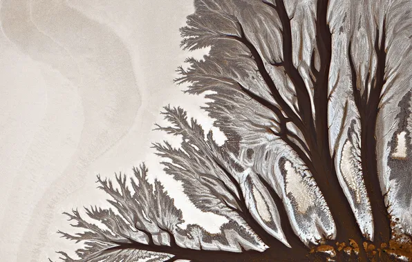 Picture sand, river, pattern, dirt, the view from the top