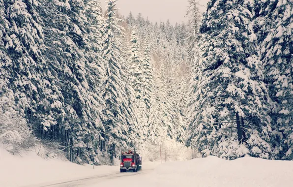 Winter, road, machine, forest, snow