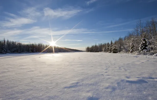 Winter, the sky, the sun, snow, trees, river, ice, Bank