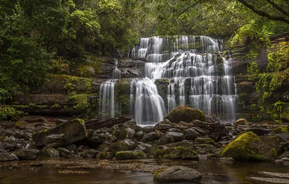 Forest, stones, waterfall, Australia, cascade, Australia, Tasmania, Tasmania