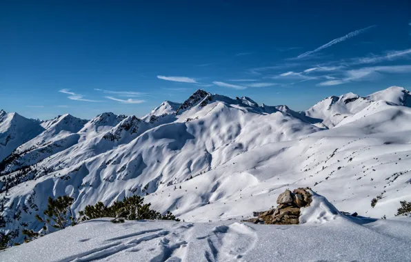 Picture snow, mountains, traces