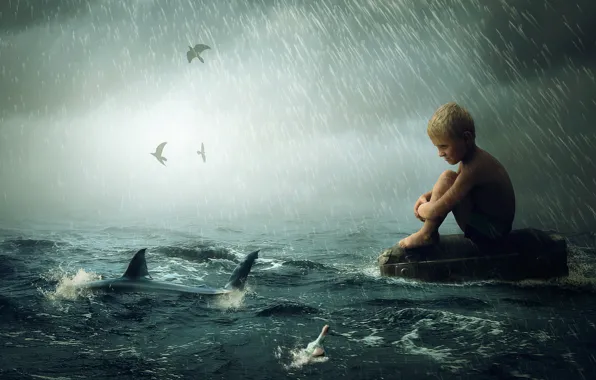 Picture wave, rain, shark, boy