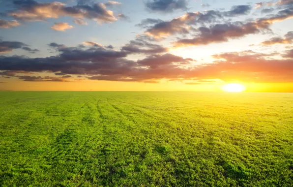 Picture the sky, the sun, clouds, nature, widescreen