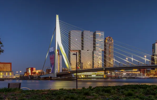 Picture bridge, lights, the evening, Netherlands, Rotterdam