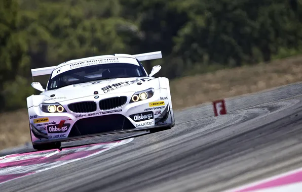 Picture BMW, Paul Ricard, FIA GT3 2011, Team Need for Speed