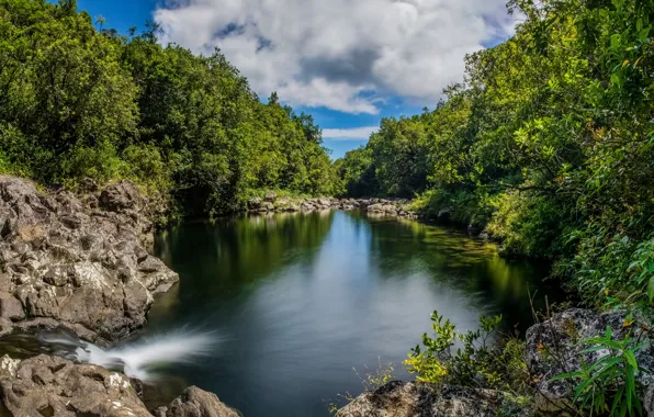 Picture greens, forest, summer, clouds, trees, stream, stones, France