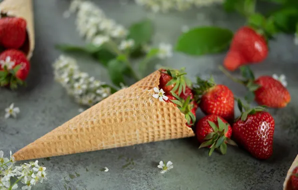 Berries, strawberry, horn, waffle, Egrigorovich