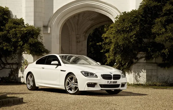 Car, machine, grass, the sun, trees, shadow, grass, trees