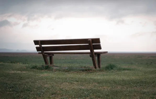Picture field, landscape, bench