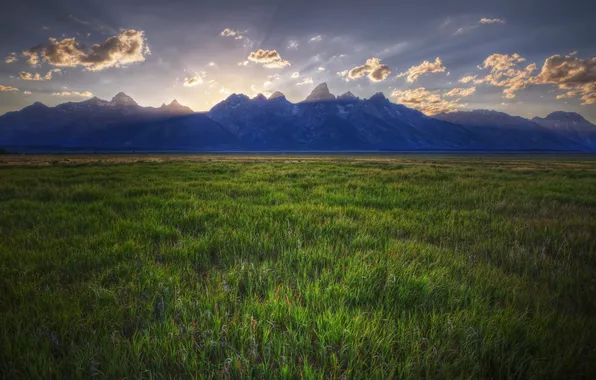 Picture Wyoming, grasslands, teton