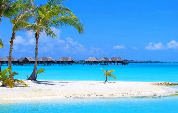 Picture beach, palm trees, the ocean, Thailand, resort, beach, white sand, houses in water