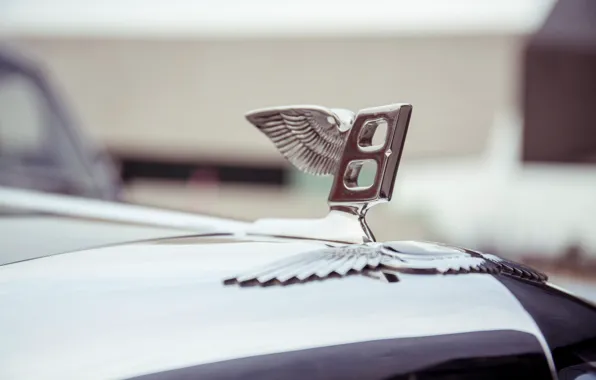 Bentley, Wings, Logo, Letter