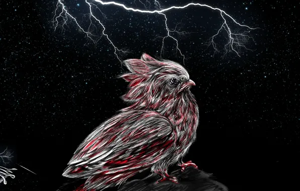Figure, Bird, Fiction, Bird