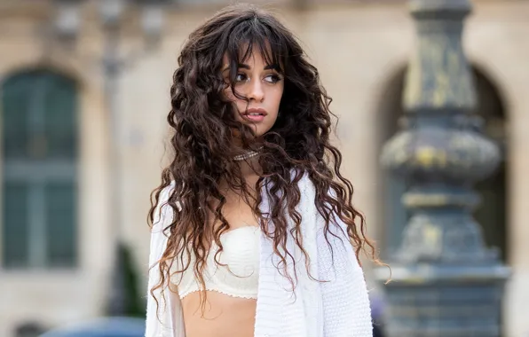 Picture look, girl, pose, hair, Camila Hair