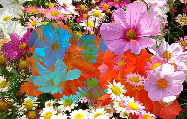Line, flowers, abstraction, paint, petals, Daisy, kosmeya
