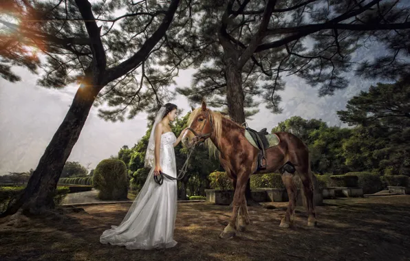 Picture girl, Park, mood, horse, dress, Asian, the bride, wedding dress