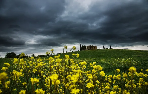 Field, flowers, clouds, hill, Italy, house, Tuscany, rape