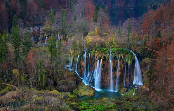 Wallpaper forest, trees, waterfall, Croatia, National Park Plitvice lakes