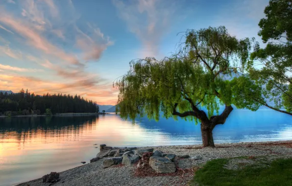 View, panorama, beautiful nature