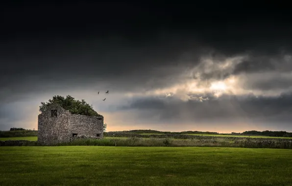 Picture home, field, ruins