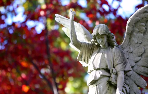 Wings, angel, statue, sculpture