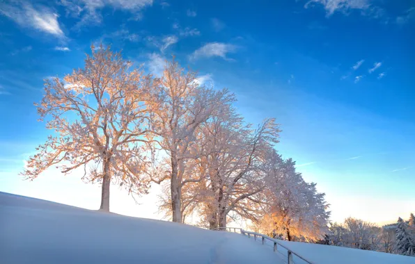 Winter, frost, forest, the sky, clouds, light, snow, trees