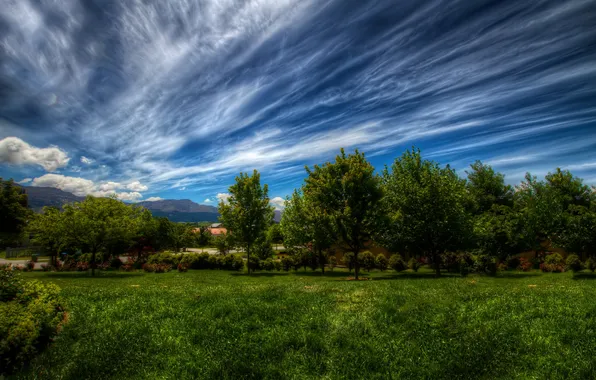 Picture the sky, grass, clouds, trees