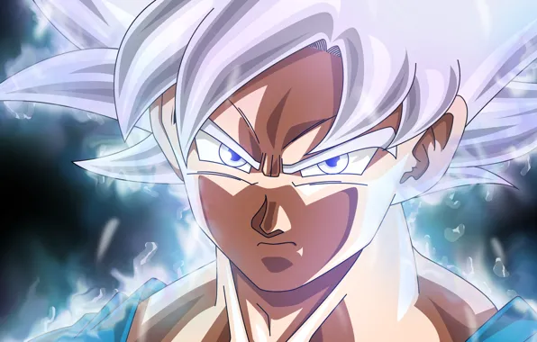 Goku, ultra instinct, ultra instinct perfected, dragon ball super