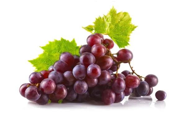 Leaves, red, grapes, white background