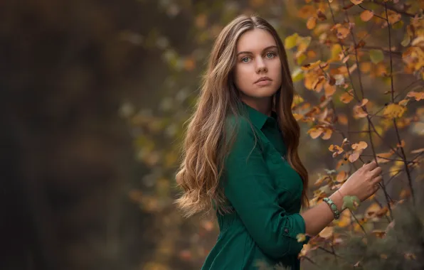 Wallpaper hands, pose, look, portrait, nature, Rus, Lisa Holloway, the bushes
