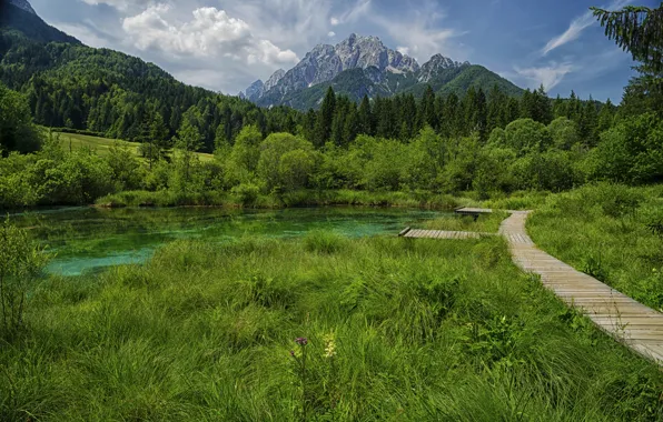 Picture grass, mountains, lake, photo, trail, Slovenia