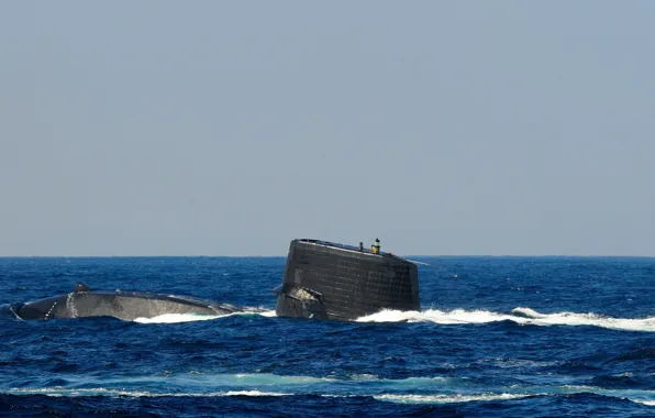 Picture sea, submarine, type, "Harusi", SS-506