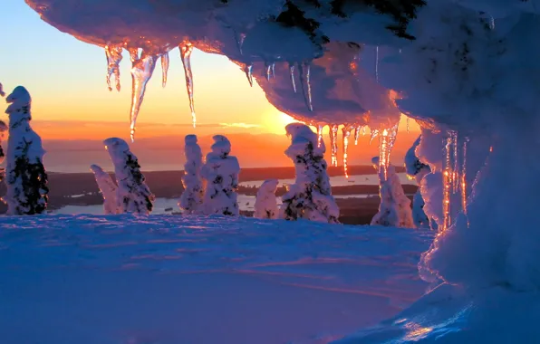 Winter, snow, trees, sunset, icicles