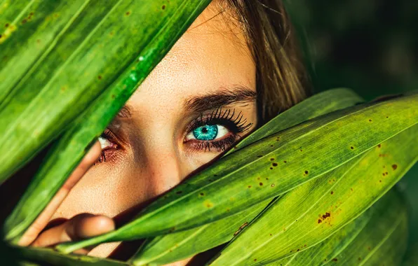 Picture Photography, Macro, Blue eyes, Green leaves, Peek, Woman face