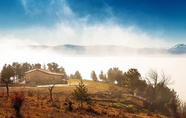 Wallpaper fog, mountains, nature, home