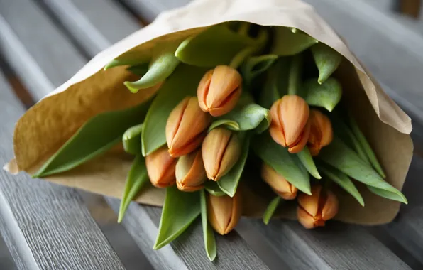 Flowers, paper, Board, bouquet, spring, tulips, orange, buds