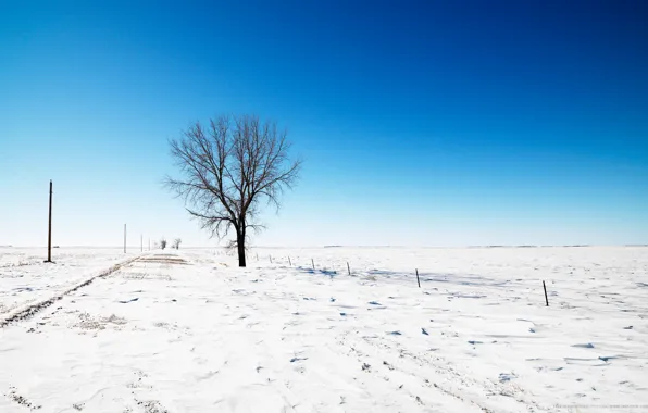 Road, the sky, snow, tree, Winter