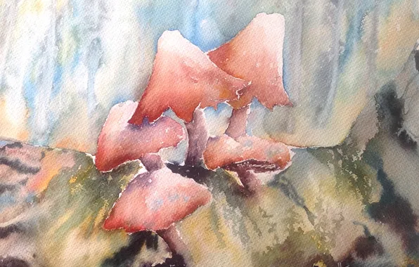 Mushrooms, picture, watercolor