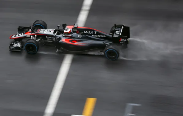 Picture McLaren, Profile, Formula 1, McLaren, Damp