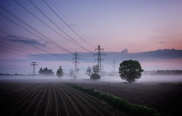 Field, landscape, night, fog, power lines